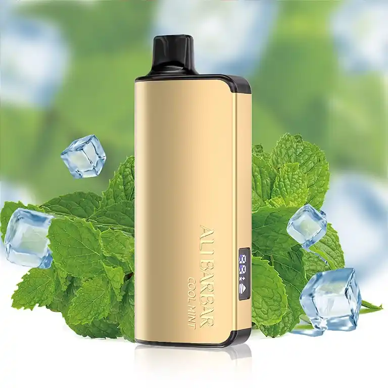 Alibarbar Ingot 9000 Puffs （Restocked） - Image 8
