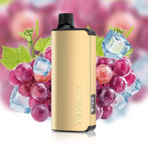 Alibarbar Ingot 9000 Puffs （Restocked） - Image 11