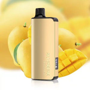 Alibarbar Ingot 9000 Puffs （Restocked） - Image 13